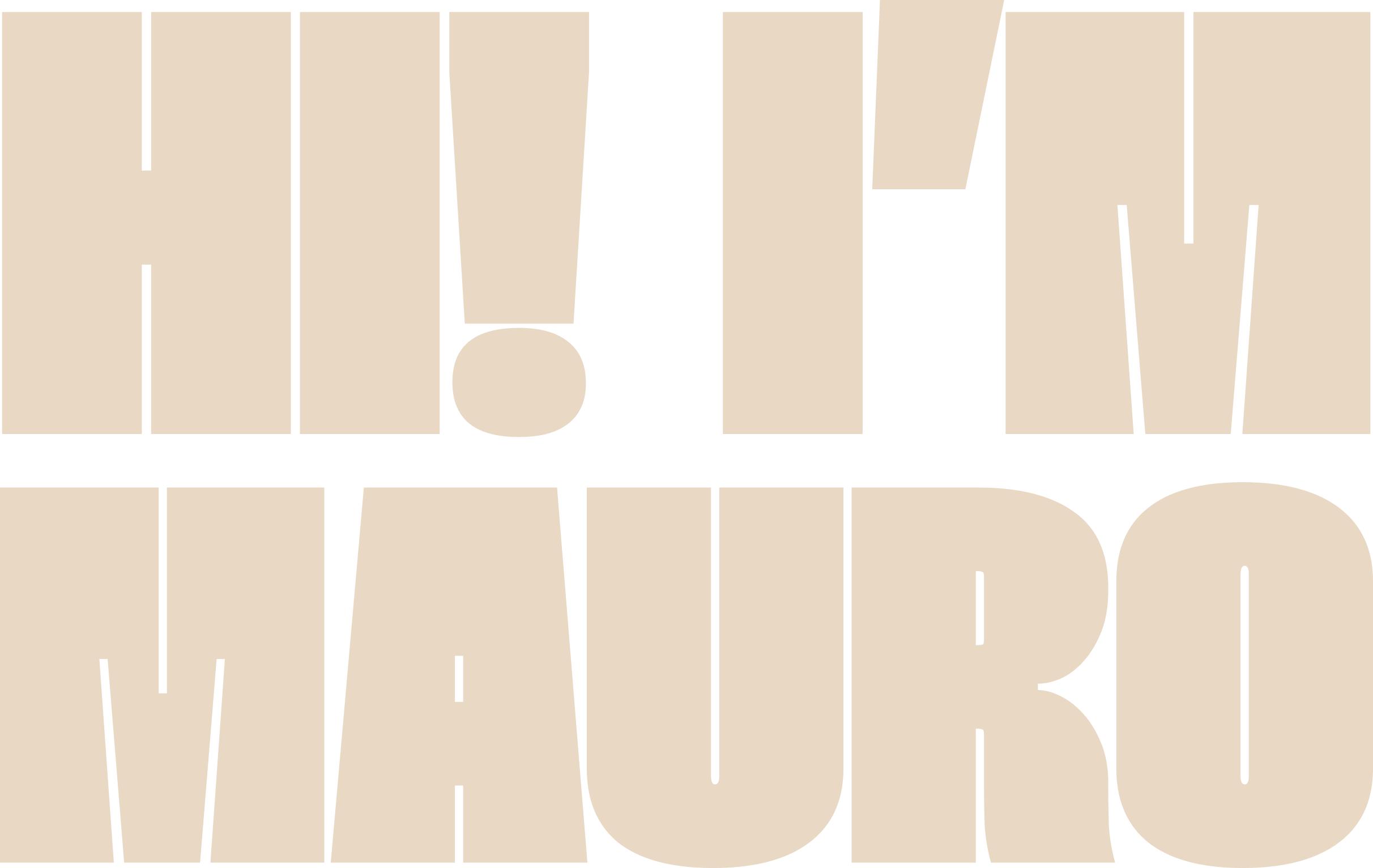 Mauro Van der Flaes - Creative Designer