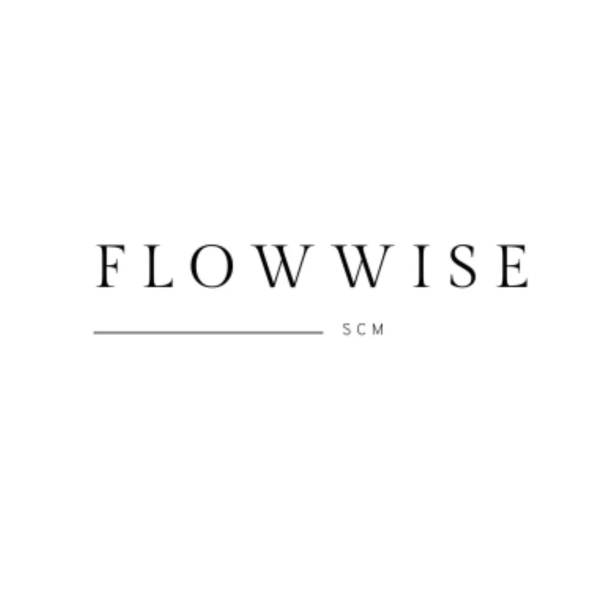 Flowwise, before the rebrand
